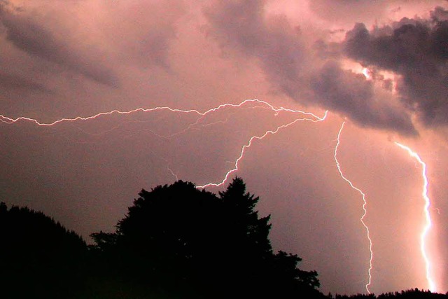 Glck im Unglck: Die beiden Mnner si...worden. Der Hauptarm traf einen Baum.   | Foto: dpa