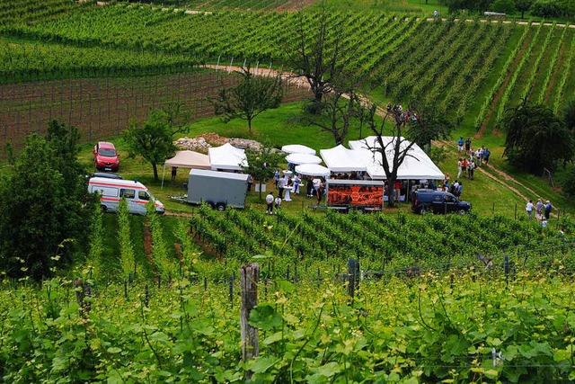 Rebkultour: Ein Fest mitten in den Reben  | Foto: Norbert Sedlak