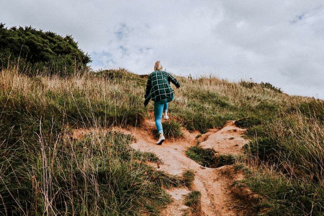 Montags-Tief? Ab in die Natur!  | Foto: Photo by Mitchell Orr on Unsplash