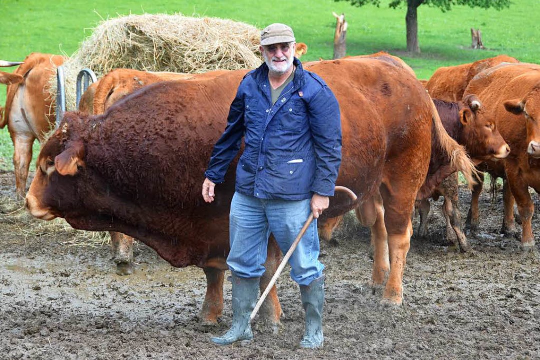 Eine glückliche Herde für gutes Fleisch: Franz Keller und seine Rinder.  | Foto: Stefan Hupka