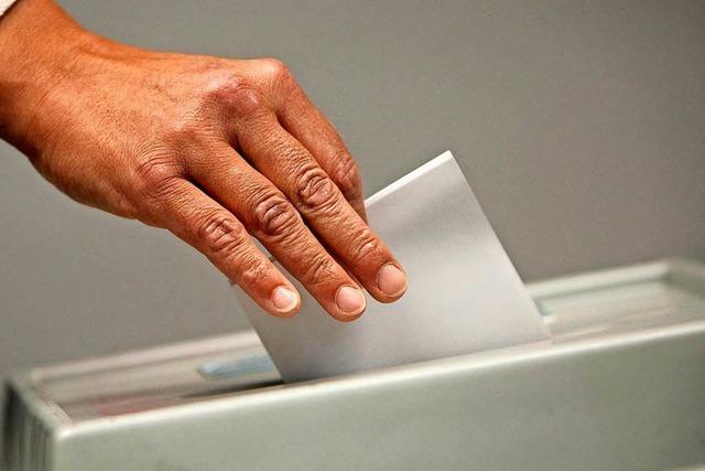 Bürgermeisterwahl in Wittnau: Vier Bewerber wollen ins Rathaus