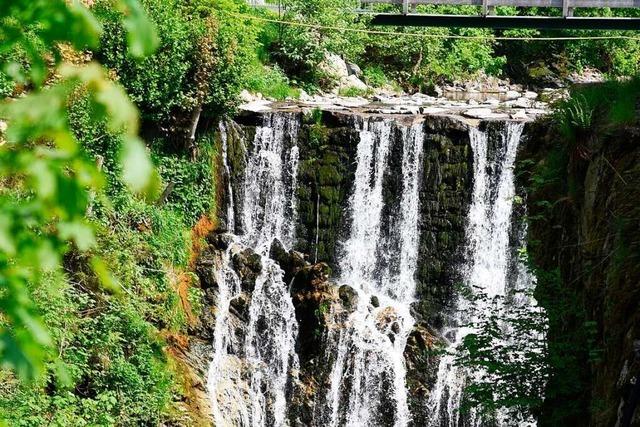 Die Wiese im Kreis Lrrach – Portrait eines Flusses