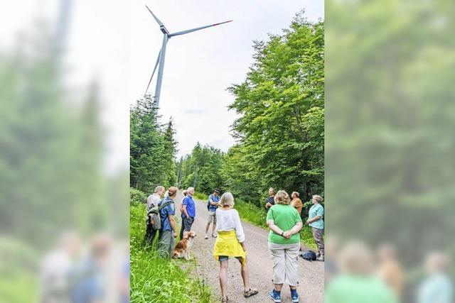 Spaziergang durch Windpark