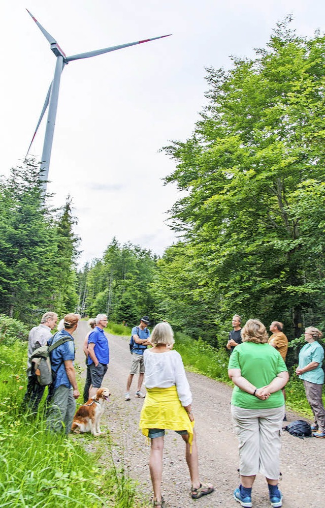 Etwa 20 Interessierte waren zum Windra...der Brgerenergie Ettenheim gekommen.   | Foto: Olaf Michel