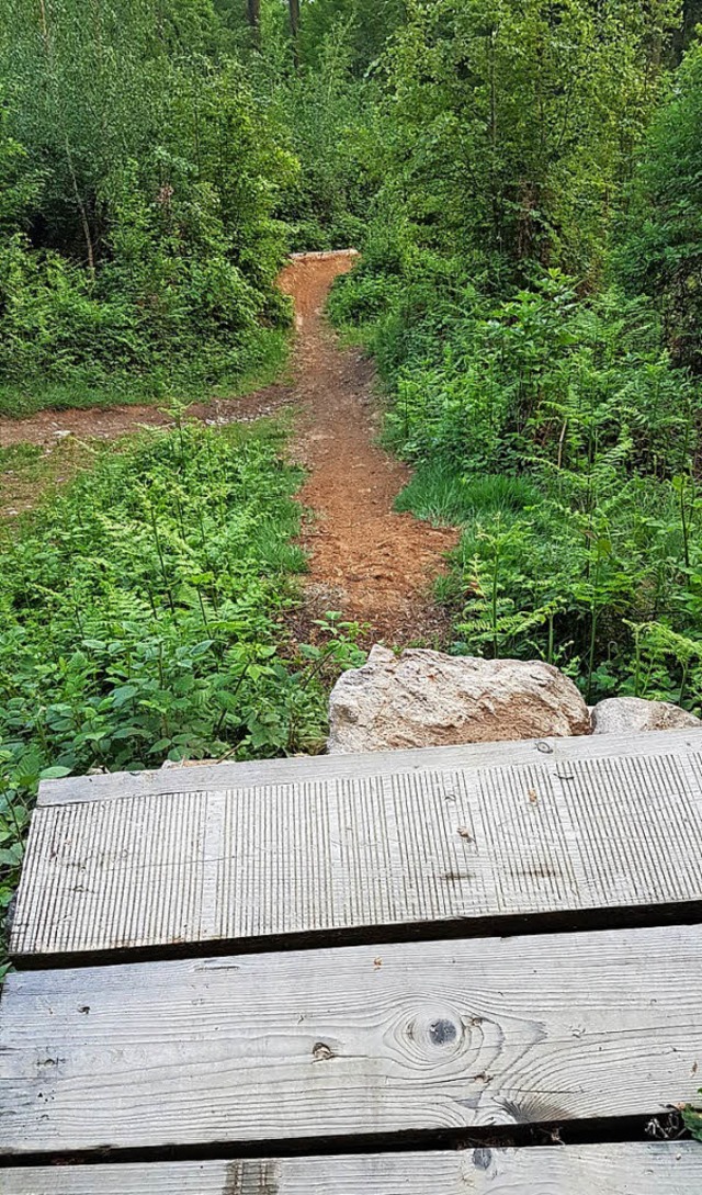 Am Eggberg ist illegal ein Mountainbik...inderat entscheidet ber den Rckbau.   | Foto: Privat