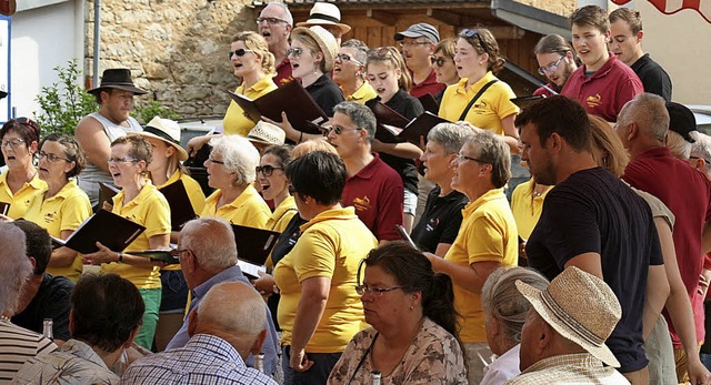 Rundum gelungen war das Dorfsingen als...kt zur 160-Jahr-Feier. Foto: Ines Bode  | Foto: Ines Bode