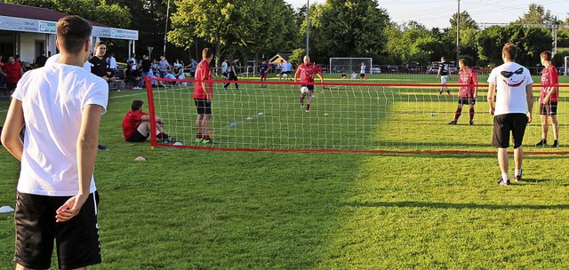 Wenn der Ball nicht ins, sondern bers...angesagt bei der Riegeler Sportwoche.   | Foto: Helmut Hassler