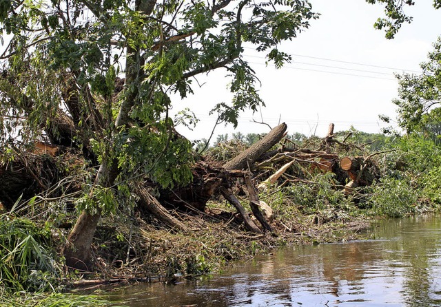 Unwetter haben am Elzufer Spuren hinterlassen.   | Foto: Werner Schnabl