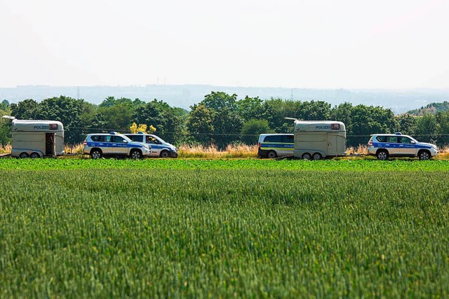 Polizeifahrzeuge und zwei Pferdetransp...hen nach einer vermissten 14-Jhrigen.  | Foto: dpa