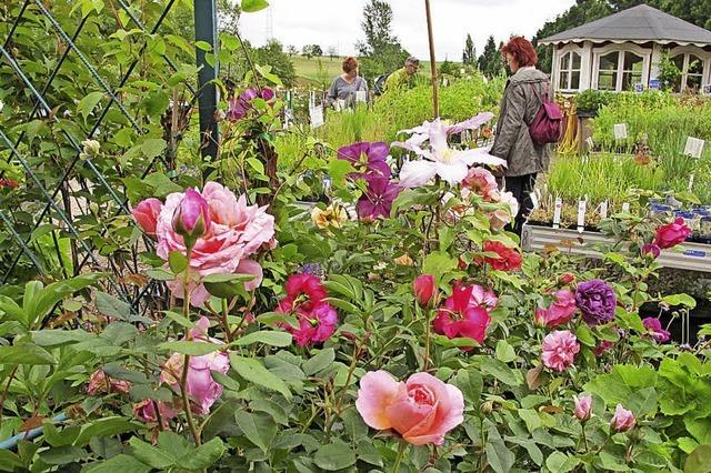 Rosenfest im Landhaus Ettenbhl