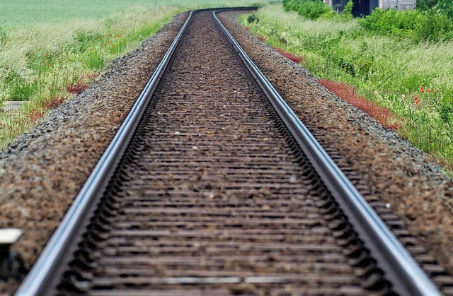 Die  Bahnstrecke Freiburg-Colmar knnte wahr werden.   | Foto: dpa