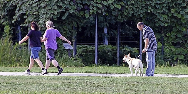 Nicht alle Hunde werden so vorbildlich angeleint.   | Foto: FREY