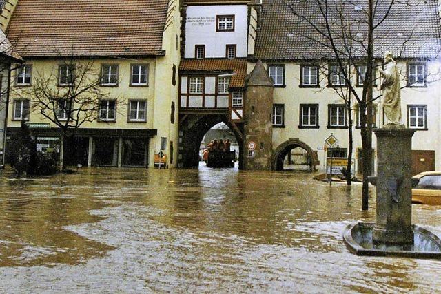 Frischekur fr den Remigiusbrunnen