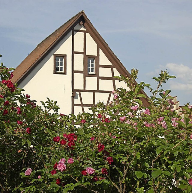 Gartentage bietet der Schwarzwaldverei...deren Rosen&#8220;  im Schrgarten an.  | Foto: van Kreuningen