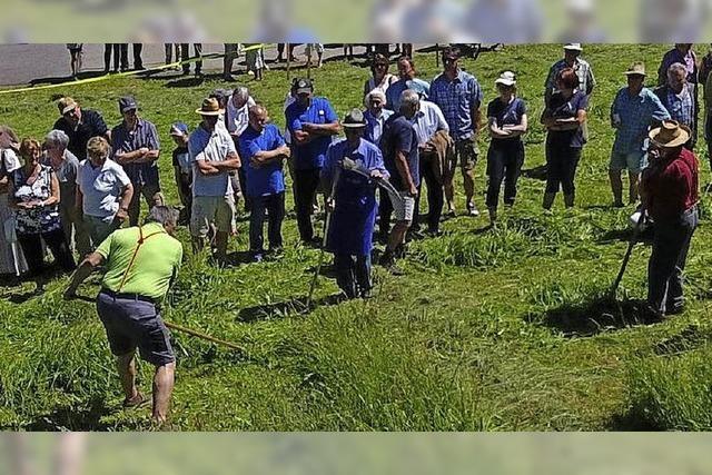 Internationales Sensen-Wettmhen mit Traktorentreffen in Bernau