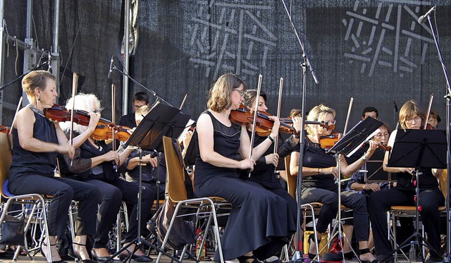 Das Streicherensemble der Elzphilharmonie  | Foto: Adelbert Mutz