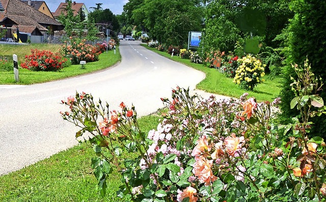 Von Rosenbschen gesumter Ortseingang in Wyhl  | Foto: Roland Vitt