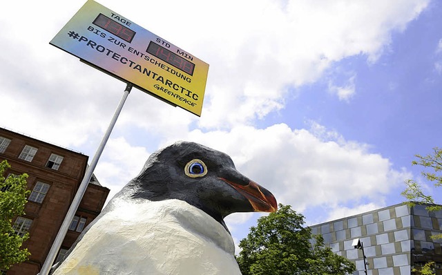 Greenpeace-Pinguin Katharina bot sich ...atz der Alten Synagoge zum Selfie an.   | Foto: Ingo Schneider