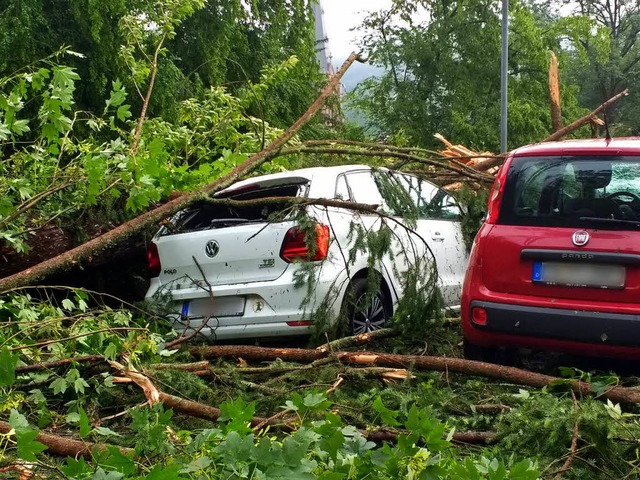 Nach dem Unwetter auf abgestellte Fahr... liegen im Oberen Stadtgarten in Calw.  | Foto: dpa