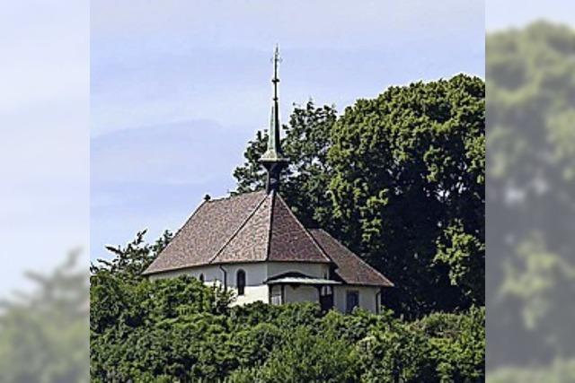 Weinblick auf dem Tuniberg