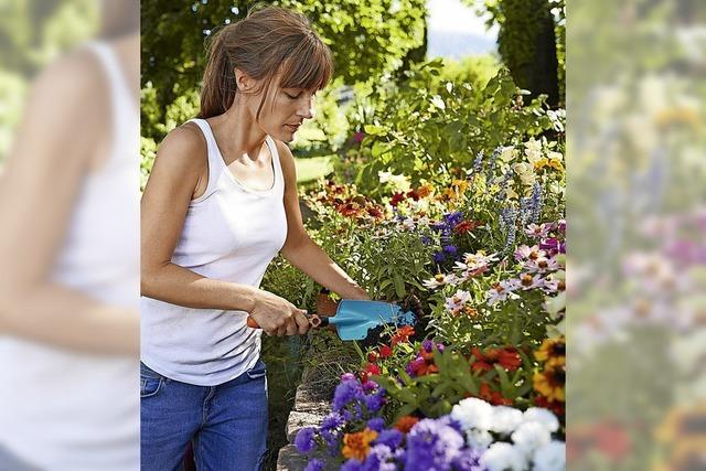 Zeitenwende im Garten