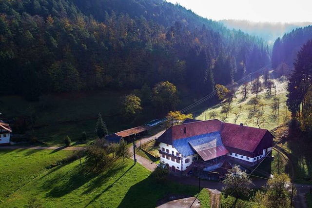 Der Wald ist das Hauptstandbein des Fi..., der zudem Mutterkuhhaltung betreibt.  | Foto: Matthias Weniger