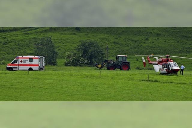 Bulle verletzt Landwirt lebensgefhrlich