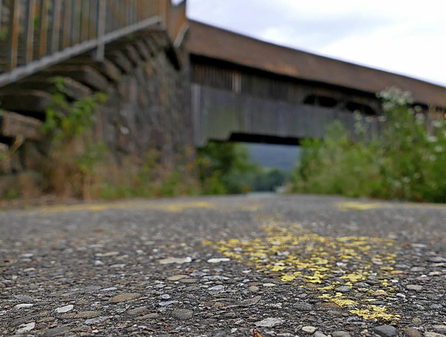 Der Weg am Rheinufer in Stein soll fr...inger nutzen das Ufer zur Entspannung.  | Foto: Jannik Jrgens