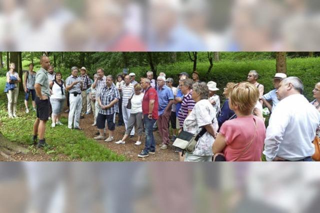 Stdtepartner erkunden Refugium seltener Pflanzen