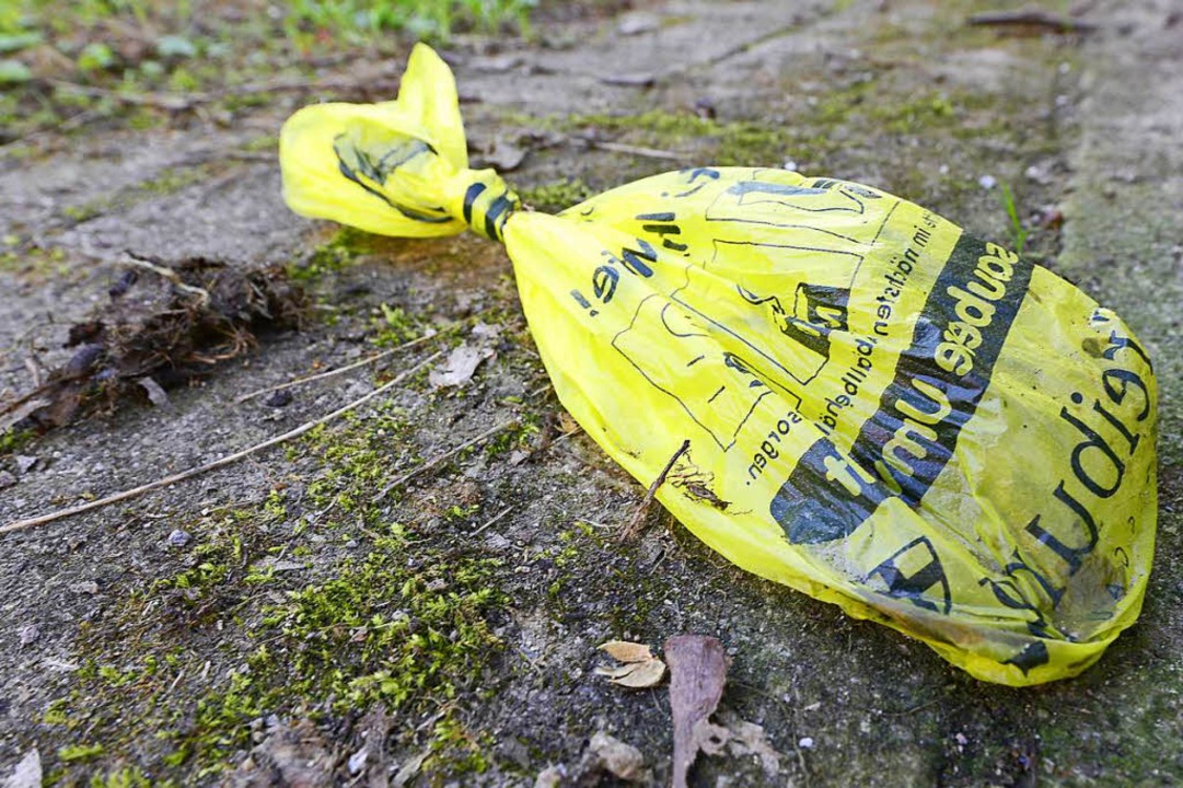 Gehren nicht in die Landschaft.  | Foto: Ingo Schneider
