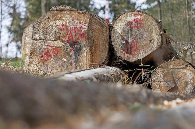 Erfolg für Land beim Streit um Holz