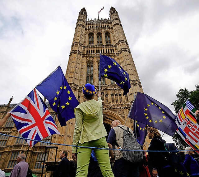 Pro-EU-Demo vor Londoner Parlament    | Foto: dpa