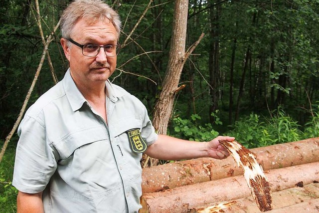 Gerd Fricker ist besorgt.  | Foto: Boris Burkhardt