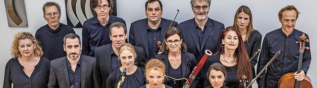 Die Holst-Sinfonietta mit ihrem Leiter...on (hintere Reihe, Dritter von rechts)  | Foto: Pro