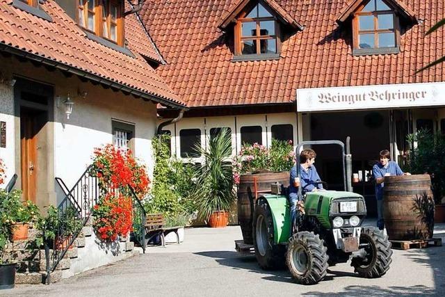 Weingut Behringer – ein Traditionsbetrieb mit frischem Image