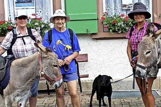 Mit Eseln auf genussvoller Wandertour