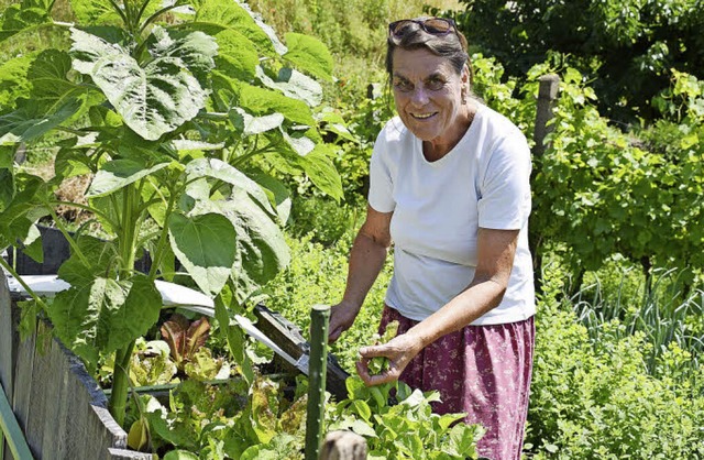 Christel Strau-Rderer in ihrem heimi... wo sie unter anderem Salat anpflanzt.  | Foto: Julia Trauden