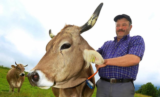 Landwirt Markus Grieser mit Kuh Regina  | Foto: dpa