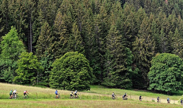 Wiese, Wald und bunte Pulks: Ein bewegter Fahrrad-Traum  | Foto: Patrick Seeger