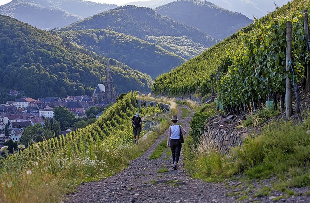 Entlang der elsssischen Weinstrae zw...t sich die Region genussvoll erleben.   | Foto: FVA Elsass