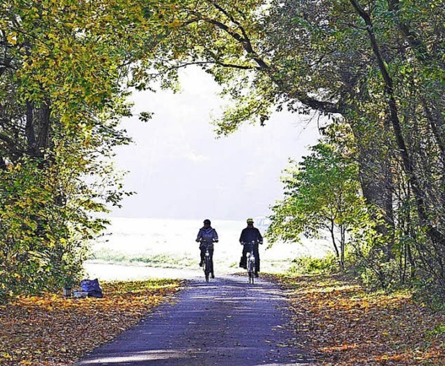 Von Ortsteil zu Ortsteil fahren, Aktio...;Tour de Waldkirch&#8220; am Sonntag.   | Foto: Stadt Waldkirch