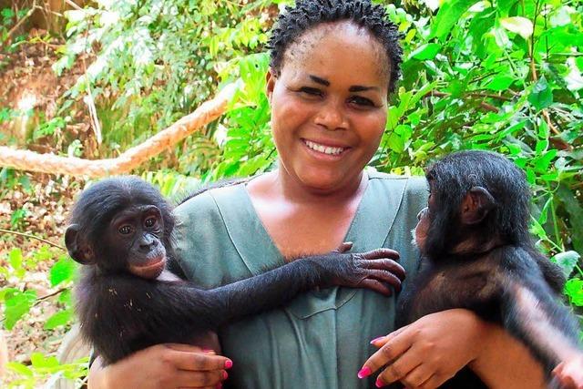 Ein Tierschutzzentrum kümmert sich um Bonobo-Waisen