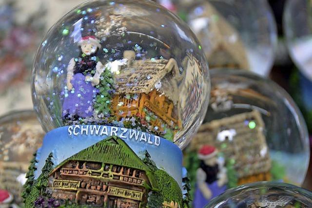 Wie verändert der Klimawandel den Tourismus im Schwarzwald?