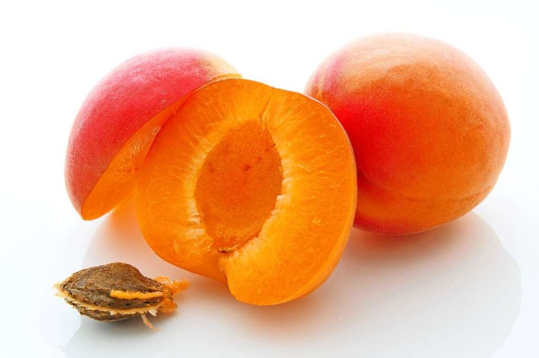 Schützt die Sehkraft: die Aprikose - Gesundheit & Ernährung - Badische