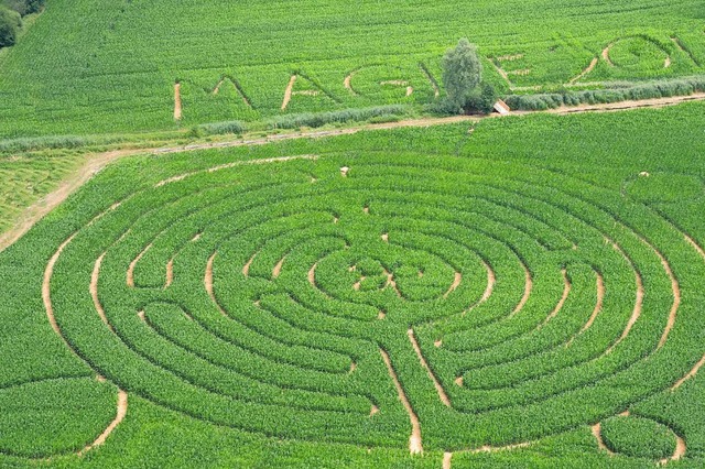 Das Maisfeld-Labyrinth in Opfingen ist...rgarten sind rund vier Kilometer lang.  | Foto: Veranstalter