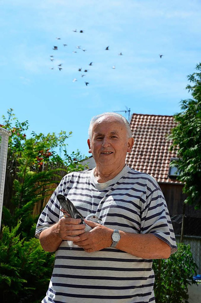 Konrad Breithaupt und sein Taubenschwarm  | Foto: Felix Lieschke