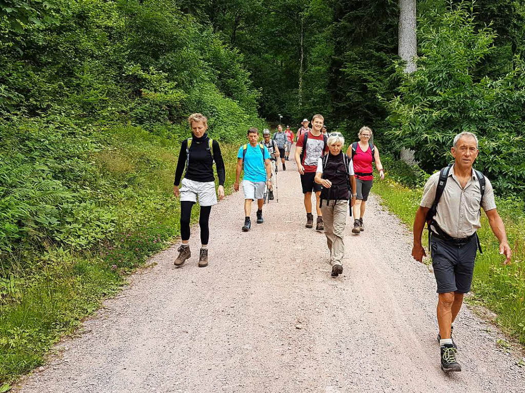 Rund 20 Wanderer waren mit der BZ und dem Schwarzwaldverein in der Ortenau unterwegs und haben dabei fantastische Ausblicke genossen.