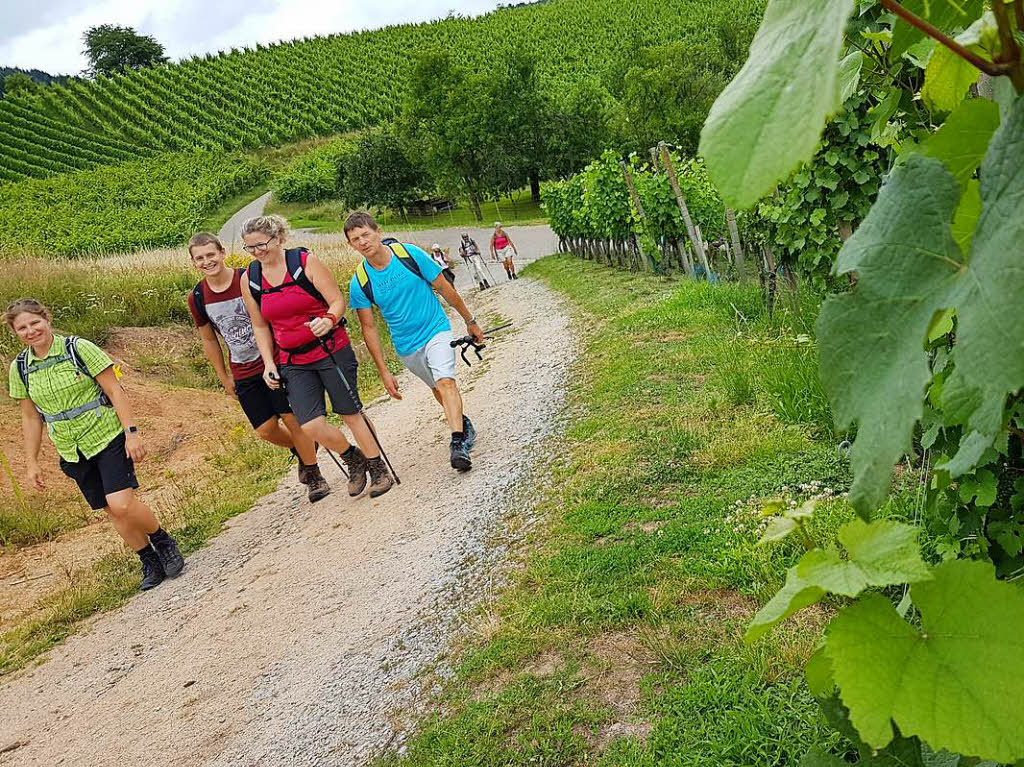 Rund 20 Wanderer waren mit der BZ und dem Schwarzwaldverein in der Ortenau unterwegs und haben dabei fantastische Ausblicke genossen.