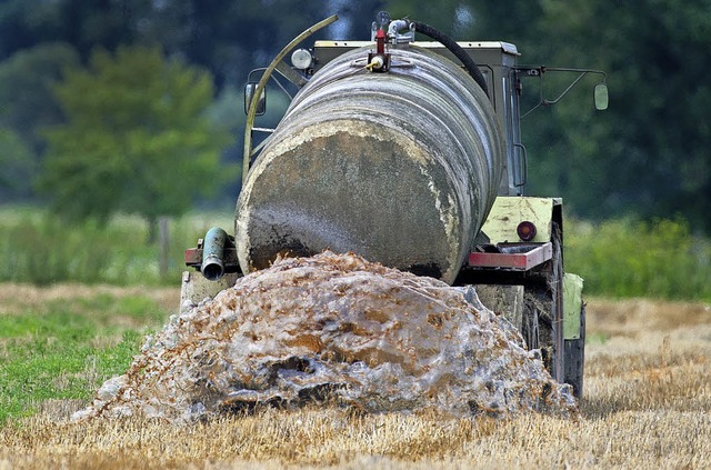Ein Bauer bringt Glle auf einem Feld aus (Symbolfoto).  | Foto: DPA