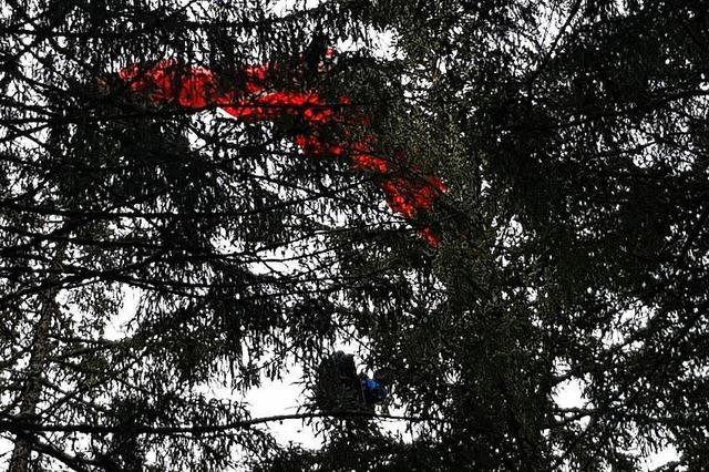 Gleitschirmflieger bei Titisee-Neustadt aus Baum gerettet